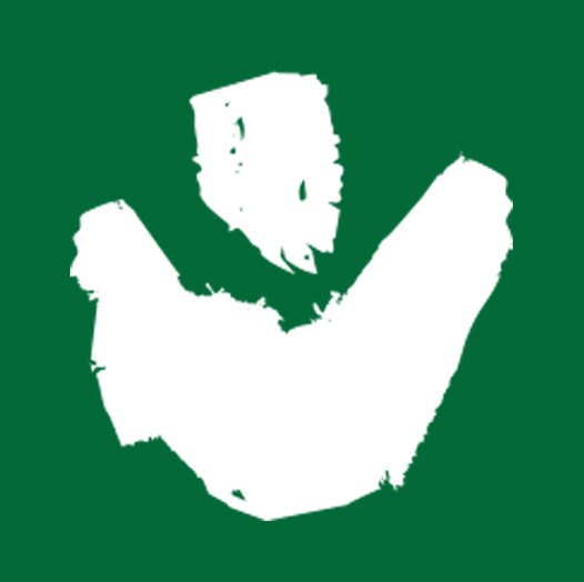 DRM figure logo in white on dark green background