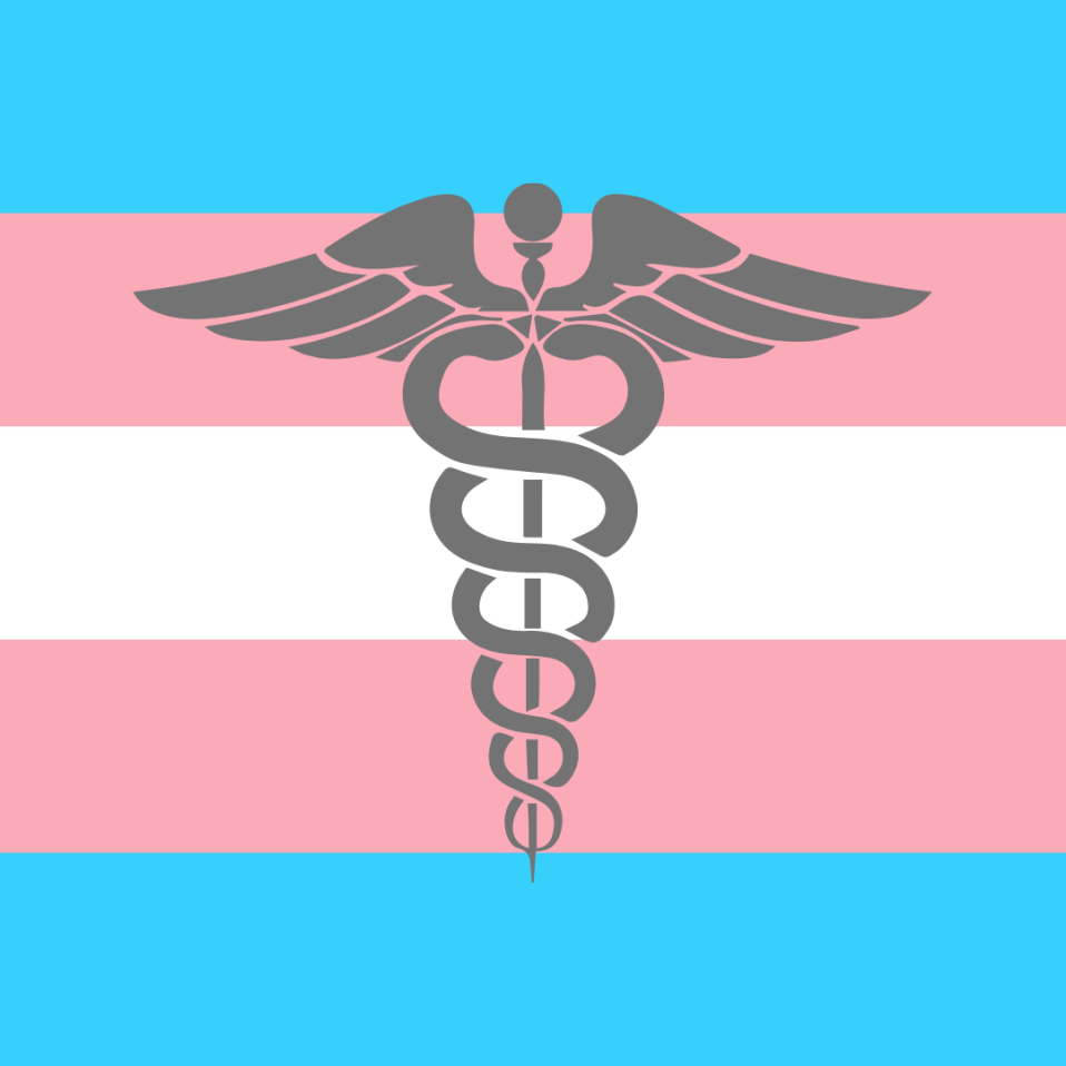 Trans gender flag with medical or doctor symbol on top